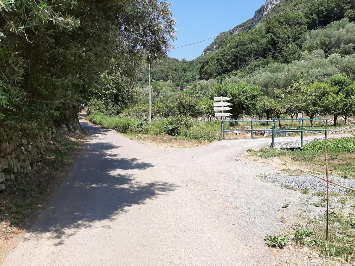 Agriturismo Alveare Finale Ligure Eksteriør bilde