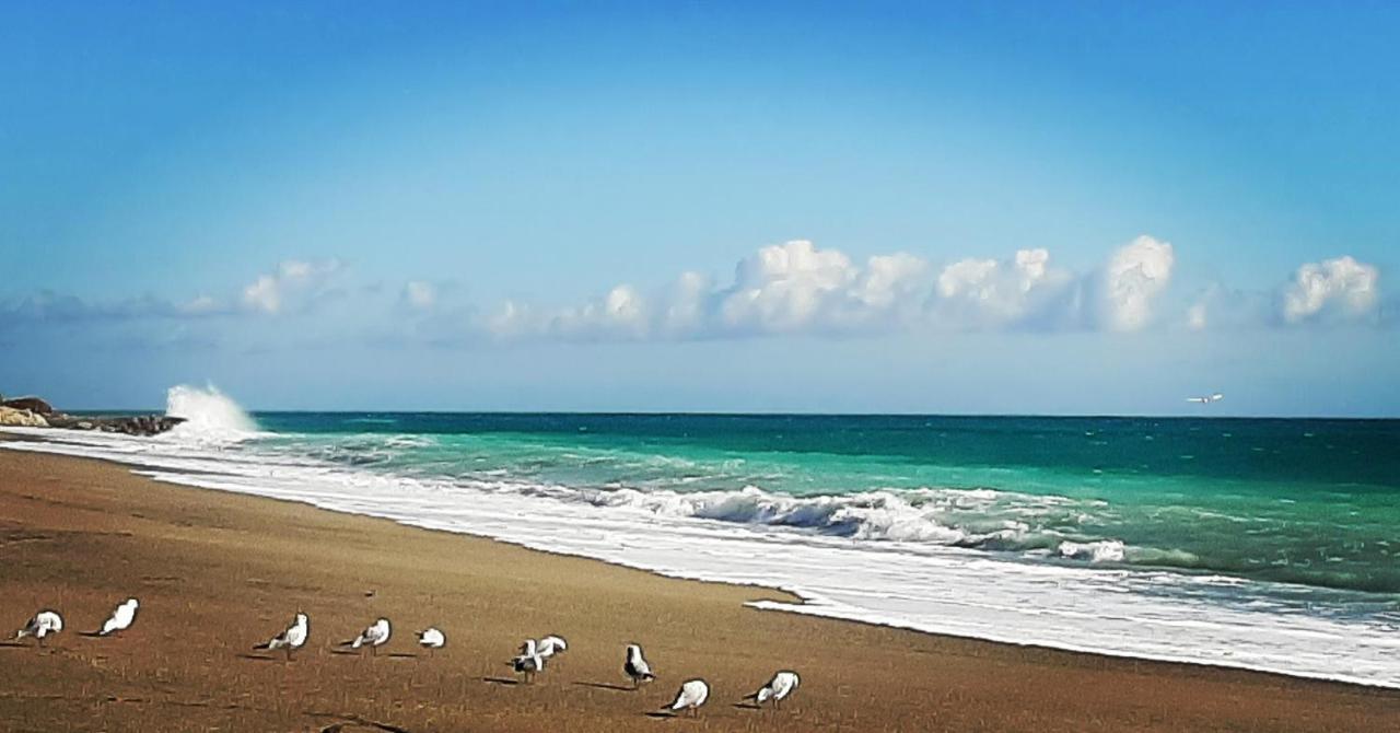Agriturismo Alveare Finale Ligure Eksteriør bilde