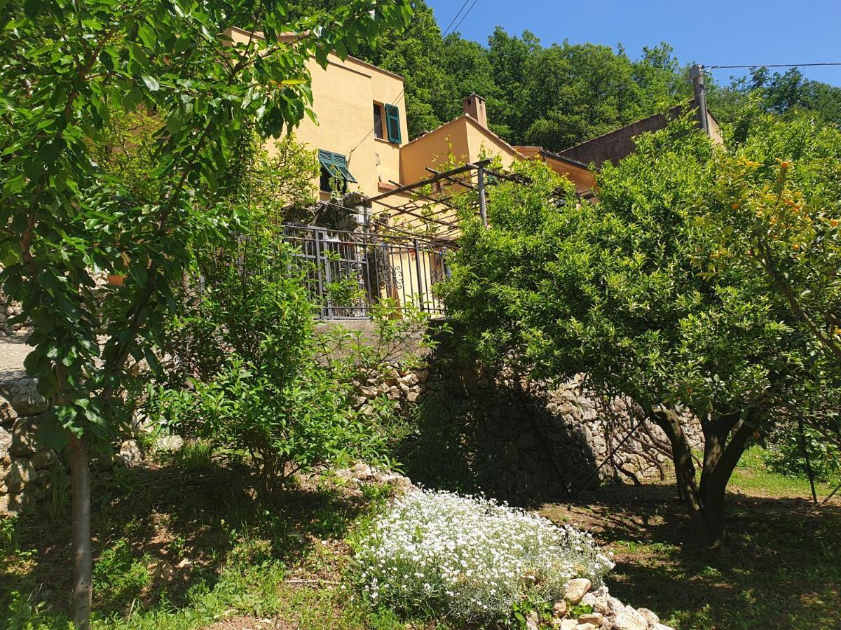 Agriturismo Alveare Finale Ligure Eksteriør bilde
